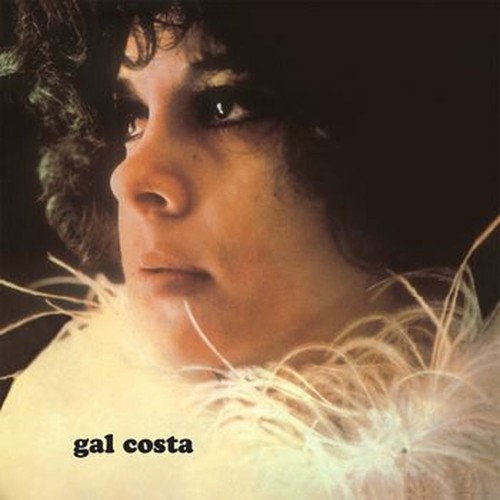 gal costa