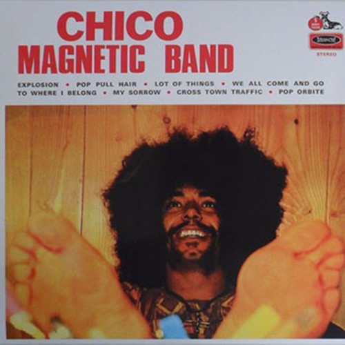 chico magnetic band