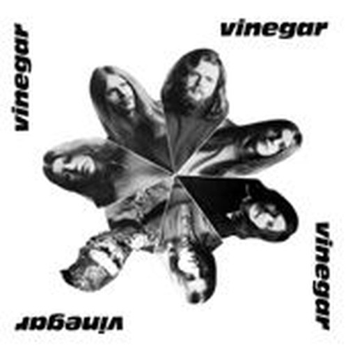 vinegar