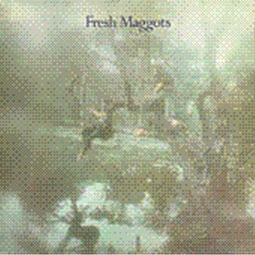 fresh maggots