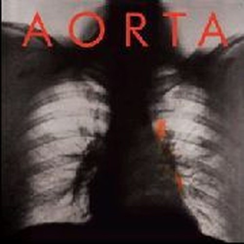 aorta