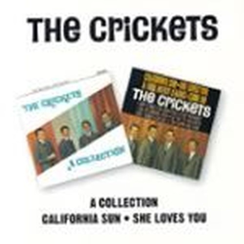 a collection/california sun - she loves you