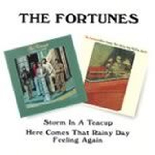 here comes that rainy day&hellip;/storm in a teacup