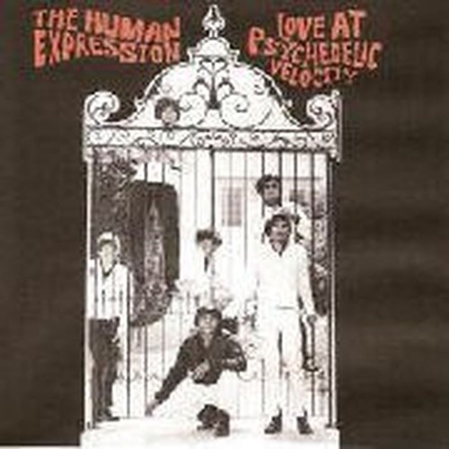 love at psychedelic velocity
