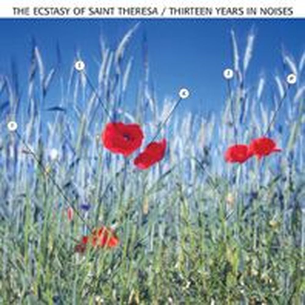 13 Years In Noises