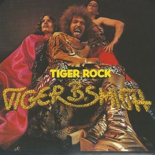tiger rock