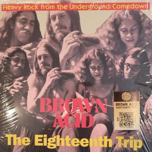brown acid: the eighteenth trip (heavy rock from the underground comedown)
