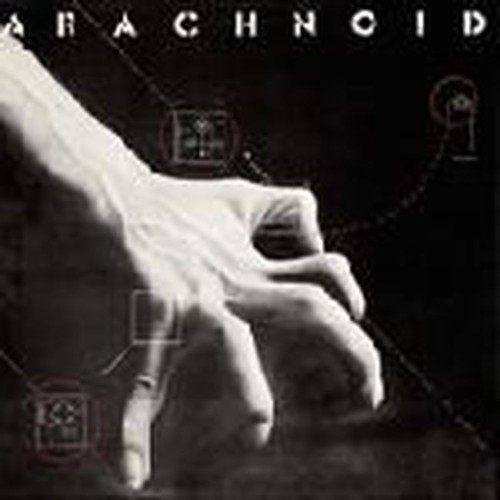 arachnoid