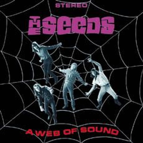 a web of sounds