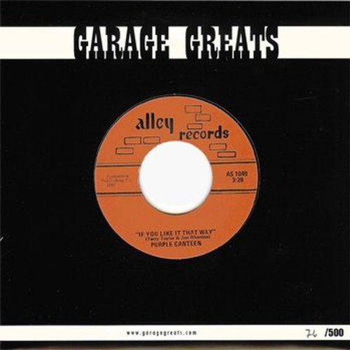 if you like it that way / brains in my feet