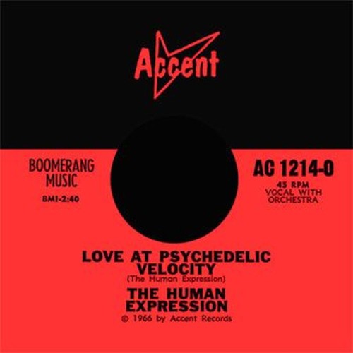 every night / love at psychedelic velocity