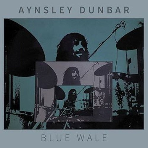 blue whale