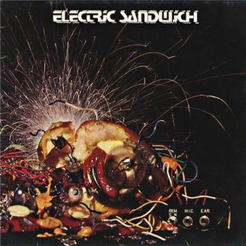 electric sandwich