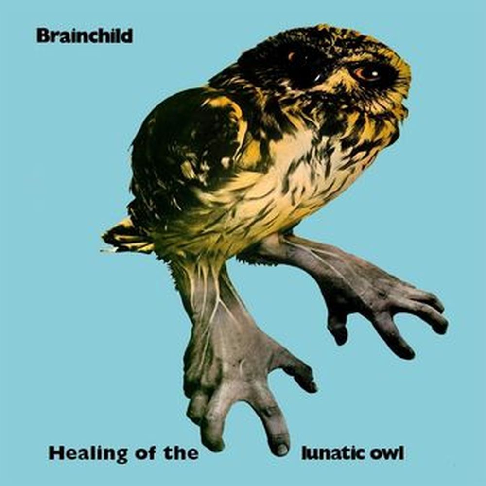 healing of the lunatic owl (+cd)