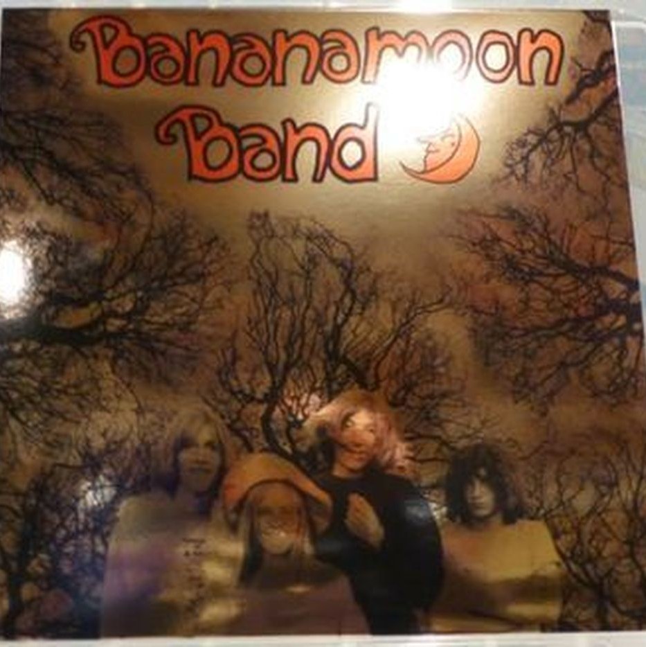 bananamoon band