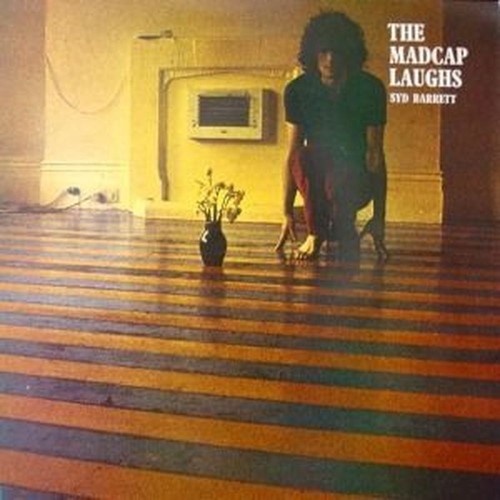 the madcap laughs