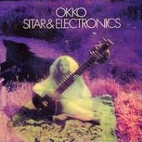 sitar and electronics