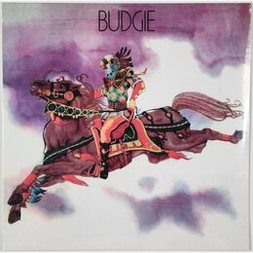 budgie