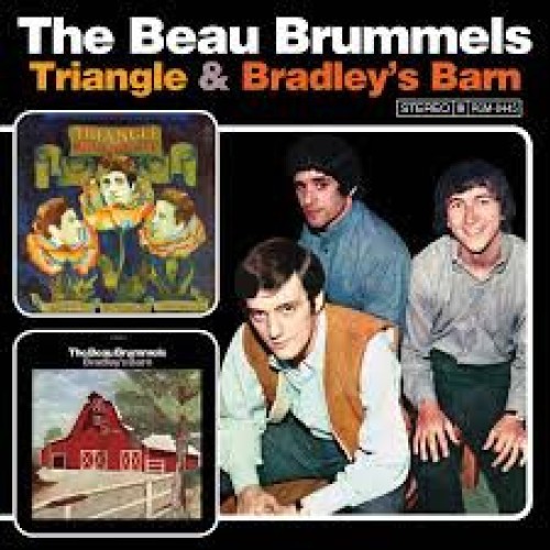 triangle & bradleys barn