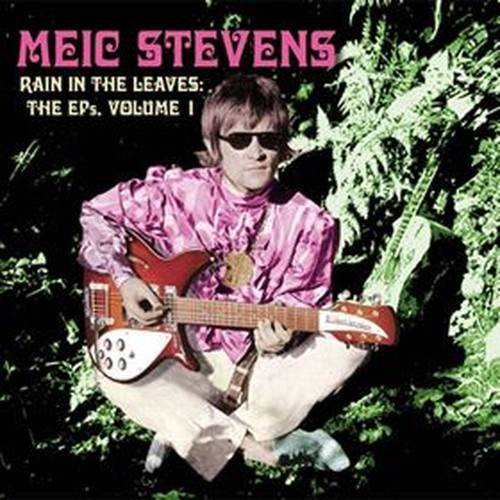 rain in the leaves - the eps vol.1