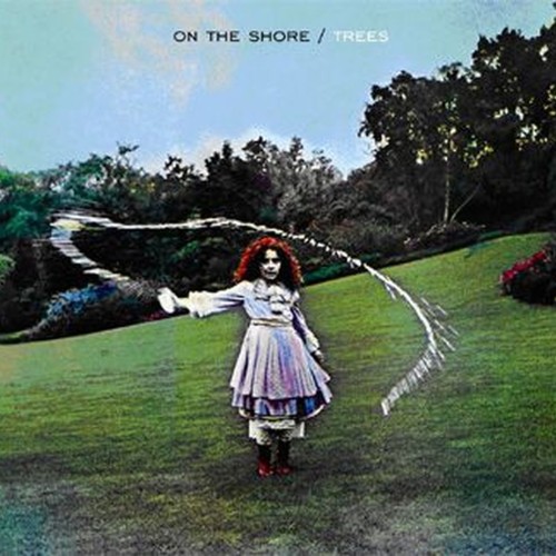 on the shore