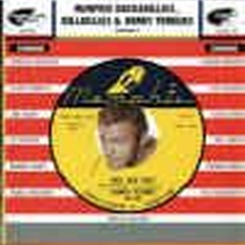 memphis rockabillies, hillbillies & honky tonkersv