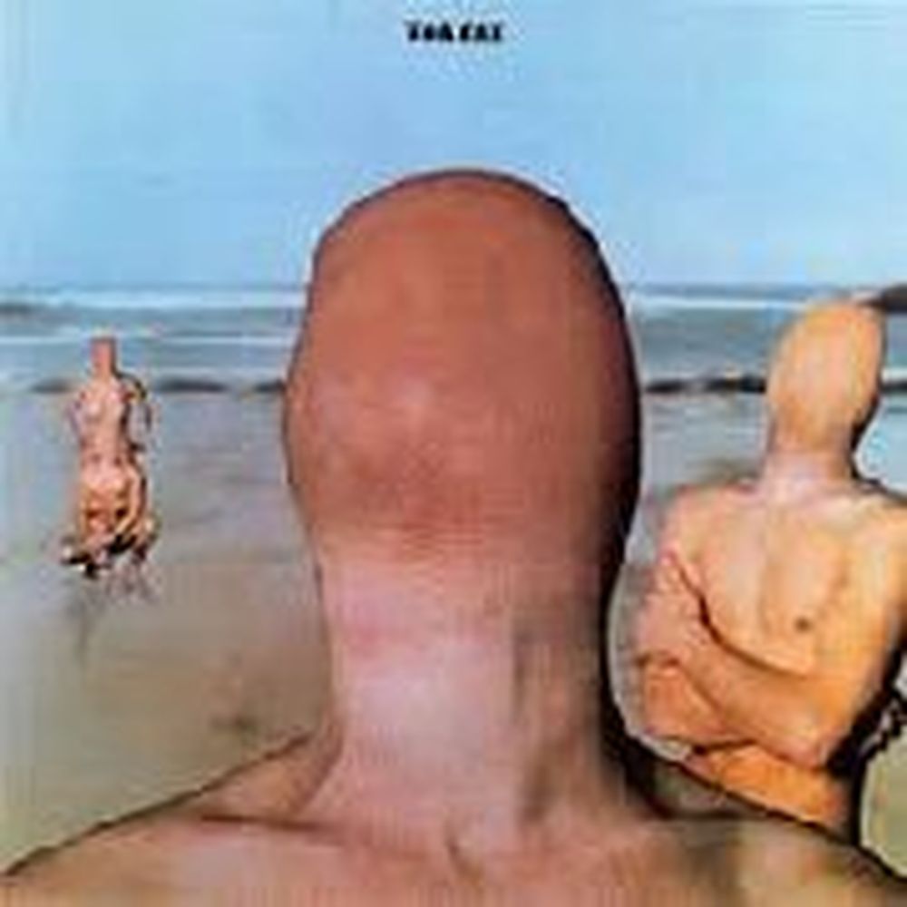 toe fat