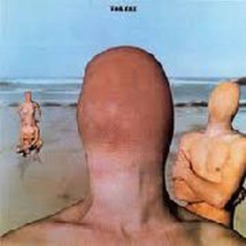 toe fat