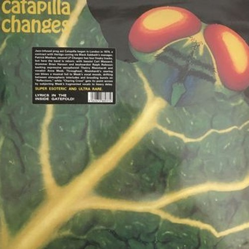 changes (die cut cover)