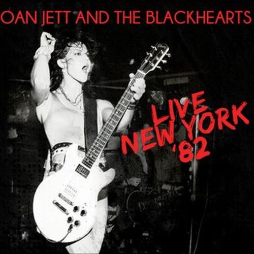 live new york 82