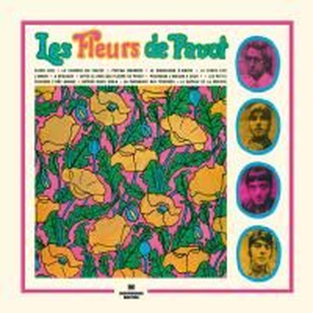 les fleurs de pavot